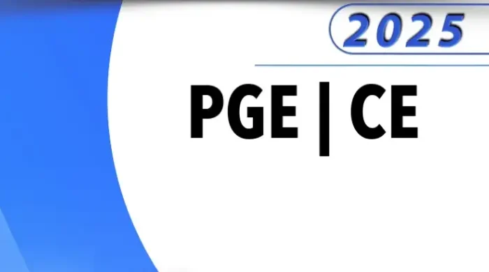 PGE | CE – Reta Final – Técnico de Representação Judicial – Direito da Procuradoria Geral do Estado do Ceará [2025] Aprovação PGE PGE CE CEARA PGECE
